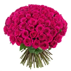 Fresh Cut 100-stem Hot Pink Rose Bouquet -Sunnydaze Store GUEST 105b2a27 cbec 4fc2 9f76 986c28d70193