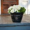 Modesto Planter - Southern Patio 1 Modesto Planter - Southern Patio -Sunnydaze Store GUEST 112248b6 6653 4b53 b316 f4e04cbe6ca6