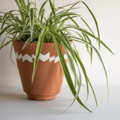 Multi Terracotta Planter - Foreside Home & Garden -Sunnydaze Store GUEST 11ee9f47 4e3a 4678 9c10 9619ae5ed38c