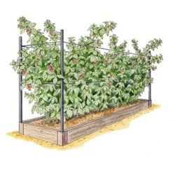 Raised Garden Bed, Raspberry Bed Kit