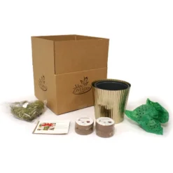 Amaryllis Kit Red Lion Bulb With Iron Brass Fluted Large Planter - Van Zyverden -Sunnydaze Store GUEST 1a829df3 fedd 4979 99c4 45172f65ff76