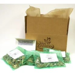 Spring Time Favorites Bulb Collection Set Of 75 Bulbs - Red/Yellow/Blue - Van Zyverden -Sunnydaze Store GUEST 1c92ff0d 6ce8 4ecb 95c8 1348a4314696