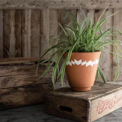Multi Terracotta Planter - Foreside Home & Garden -Sunnydaze Store GUEST 1d4074d7 e6ca 40fb 9460 3748713b7c38