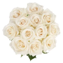 Dozen Fresh Cut White Roses With Vase -Sunnydaze Store GUEST 2e77c62b 0d61 4541 a62a b919c509cfa7