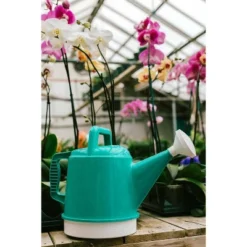 2.5gal Deluxe Watering Can - Bloem -Sunnydaze Store GUEST 2fc35430 ec12 4ca9 b12f 81ee92da5796