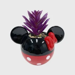 Disney 2pc Indoor/Outdoor Ceramic Mickey And Minnie Mouse Classic Succulent Set -Sunnydaze Store GUEST 3d9ad420 6fc0 4901 b2f8 20991c881d1f