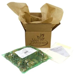 Sunnydaze Store -Sunnydaze Store GUEST 3ec89b3a 67aa 458a bc1b 0e64f312c218 14