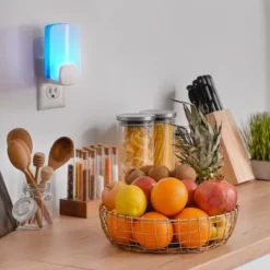 Raid Essentials Flying Insect Light Trap Starter Kit - 1 Device + 1 Refill -Sunnydaze Store GUEST 45e610e2 27e5 4d56 af02 7826bf8097aa