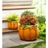 Evergreen Plow & Hearth Indoor/Outdoor Fall Orange Pumpkin Planters In Weather-Safe Resin With Drain Hole, Set Of 2, 8" Dia. X 6"H And 15" Dia. X 12"H 1 Evergreen Plow & Hearth Indoor/Outdoor Fall Orange Pumpkin Planters In Weather-Safe Resin With Drain Hole, Set Of 2, 8" Dia. X 6"H And 15" Dia. X 12"H -Sunnydaze Store GUEST 54ea70ee cec0 48d0 9f2e 4bedd7051353
