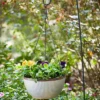 Westlake 12.5 In. Galvanized Finish With Bronze Trim Hanging Basket Planter - Southern Patio 2 Westlake 12.5 In. Galvanized Finish With Bronze Trim Hanging Basket Planter - Southern Patio -Sunnydaze Store GUEST 56b04522 5e89 4312 b896 0e14e7af1ec3