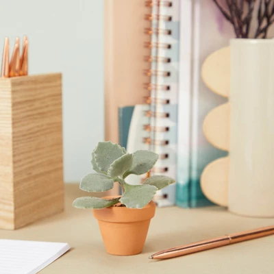 Juvale 10-Pack 1.5-Inch Mini Terracotta Plants Pots With Holes For Cactus, Succulents, Tiny Clay Flower Pot Planters For Nursery, Indoor Garden 5 Juvale 10-Pack 1.5-Inch Mini Terracotta Plants Pots With Holes For Cactus, Succulents, Tiny Clay Flower Pot Planters For Nursery, Indoor Garden - Image 3