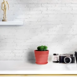 Unique Bargains Parterre Farm Home Plastic Round Design With Tray Flower Cactus Planters Red 1 Pc -Sunnydaze Store GUEST 62e0be89 1eda 4cb0 a2b7 5919785fd02f