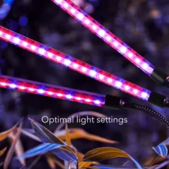 Dartwood LED Grow Lights For Indoor Plants With Red Blue Spectrum - Plant Grow Light With 9 Brightness Levels, Auto On Off Function (2 Pack) -Sunnydaze Store GUEST 64e7f763 cf31 4488 8e7b 2876844a1da3 2