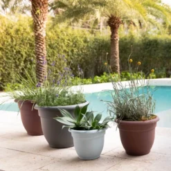Ariana Self-Watering Indoor/Outdoor Planter - Bloem -Sunnydaze Store GUEST 6b11d8da 8110 4071 896f 98f2006321ad