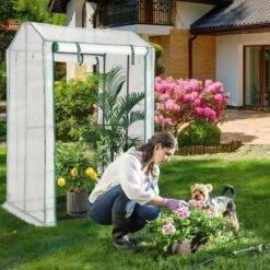 Costway 39'' X 32'' X 59'' Walk-in Garden Greenhouse Warm House For Plant Growing -Sunnydaze Store GUEST 6d3c9cf4 5472 4b69 bc7c 58d02893f9a1