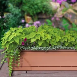 Southern Patio 36 In Medallion Hanging Windowsill Garden Box Planter, Terracotta -Sunnydaze Store GUEST 6ea601ad db17 4b9b 8828 f74c172ca5ad