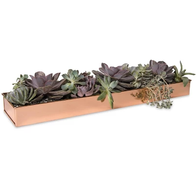 Gardener's Supply Company Rectangular Copper Plant Tray | 24" X 5" Leakproof Planting Pot For Houseplants & Succulents | Holiday Centerpiece Display 4 Gardener's Supply Company Rectangular Copper Plant Tray | 24" X 5" Leakproof Planting Pot For Houseplants & Succulents | Holiday Centerpiece Display - Image 2