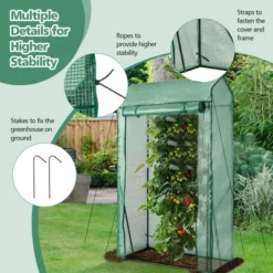 Costway 39'' X 20'' X 67'' Walk-in Garden Greenhouse Hot House Tomato Plant Warm House 17 Costway 39'' X 20'' X 67'' Walk-in Garden Greenhouse Hot House Tomato Plant Warm House -Sunnydaze Store GUEST 77b67193 d9cd 47ee 9954 275feba29e14