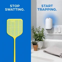 Zevo Indoor Flying Insect Trap Starter Kit For Fruit Flies, Gnats, And House Flies - 4ct -Sunnydaze Store GUEST 7834abf2 96a7 47a1 a34b 37477aab55c6