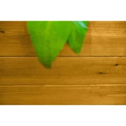 Vita 48"x48" Mezza Keyhole Square Garden Bed Planter -Sunnydaze Store GUEST 7974dde4 b14c 4102 a679 153c6f2a3b6d