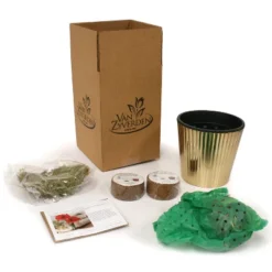 Amaryllis Kit Pink Bulb With Iron Brass Fluted Planter - Van Zyverden -Sunnydaze Store GUEST 8237be2b a7a5 4a9c afd1 1c00e129b095