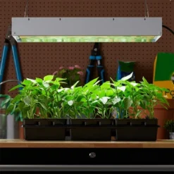 Hydrofarm FLT24 Agrobrite 4-Tube Daisy Chainable Hydroponic 2-Foot Grow Light Fixture 96W With 4-T5 Bulbs For Indoor Home Gardens -Sunnydaze Store GUEST 8bdf897b bb6a 4ac7 91f4 5c6ed21d84eb