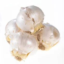 12ct Allium Purple Rain Bulbs - Van Zyverden -Sunnydaze Store GUEST 8cabff0b 513e 4b3e 9a1a c5941e1d9e05 1
