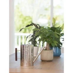 Gardener's Supply Company Stainless Steel Watering Can | Stylish And Modern Design With Easy Grip Wooden Handle & Long Spout To Prevent Spillage | -Sunnydaze Store GUEST 95dc78fb b7b8 4f43 9373 18aebd9a4bbc