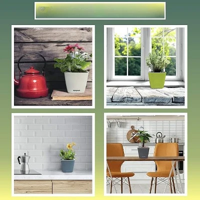 Window Garden 5'' Aquaphoric Self Watering Planter - Pink 4 Window Garden 5'' Aquaphoric Self Watering Planter - Pink - Image 2