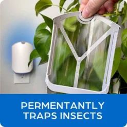 Zevo Indoor Flying Insect Trap Starter Kit For Fruit Flies, Gnats, And House Flies - 4ct -Sunnydaze Store GUEST 99ddb359 fc80 4202 ba95 d2052c9bbb3b