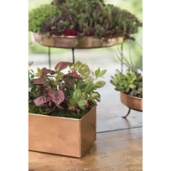 Gardener's Supply Company Tall Rectangular Copper Plant Tray | 18" X 5" X 4" For Plant Flower Succulent Display -Sunnydaze Store GUEST a32d9883 c243 463e b4ef 247254eb5dad