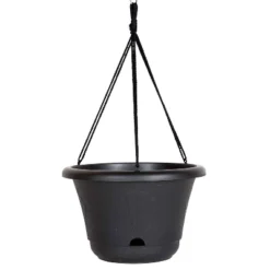 Bloem 13" Wide Lucca Self Watering Hanging Basket -Sunnydaze Store GUEST a364821a 5d7c 4b16 b36c e02c7e88ae70