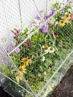 Gardener’s Supply Company Chicken Wire Cloche Flat Back Crop Coop | Sturdy Metal Flower, Garden Plants, And Backyard Vegetables Cover Protector | 20"D -Sunnydaze Store GUEST a5b62303 13fc 4e06 b816 679fa9cfeba1