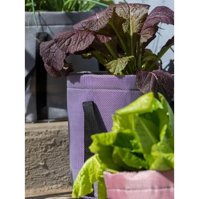 Gardener's Supply Company Reinforced Grow Bag With Handles, 9" X 9" For Portable Vegetable Planting & Growing - Black - Black 4 Gardener's Supply Company Reinforced Grow Bag With Handles, 9" X 9" For Portable Vegetable Planting & Growing - Black - Black - Image 2