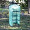Sunnydaze Decor Sunnydaze Outdoor Portable Growing Rack 4-Tier Greenhouse With Roll-Up Door - 4 Shelves - Green 2 Sunnydaze Decor Sunnydaze Outdoor Portable Growing Rack 4-Tier Greenhouse With Roll-Up Door - 4 Shelves - Green -Sunnydaze Store GUEST ab3b9276 bf70 46ef b183 989394c84fb2