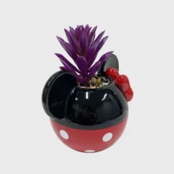 Disney 2pc Indoor/Outdoor Ceramic Mickey And Minnie Mouse Classic Succulent Set -Sunnydaze Store GUEST ac1b24dc c8b9 43f6 ab0f 76c2d3b237cf