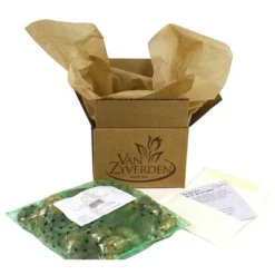 10ct Tulips Giant Orange Sunrise Bulbs - Van Zyverden -Sunnydaze Store GUEST bc77edb8 ae2e 4f65 80b4 613a97ad577f 2