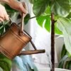 Homarden 1 Gallon Copper Watering Cans With Removable Spout For Indoors And Outdoors -Sunnydaze Store GUEST bf30ea8b 0782 46ec b770 4553fab7fb94