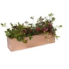 Gardener's Supply Company Tall Rectangular Copper Plant Tray | 18" X 5" X 4" For Plant Flower Succulent Display 1 Gardener's Supply Company Tall Rectangular Copper Plant Tray | 18" X 5" X 4" For Plant Flower Succulent Display -Sunnydaze Store GUEST c105bb7b 739c 4186 ae02 06006262a2e6