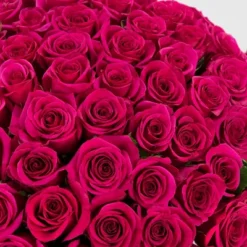 Fresh Cut 100-stem Hot Pink Rose Bouquet -Sunnydaze Store GUEST c173d312 b586 4089 85ba adaf87cbe91a