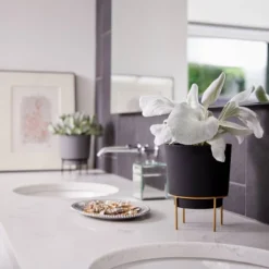 Sunnydaze Store -Sunnydaze Store GUEST c8b3213a a7cd 4177 b411 1b35032bb94e