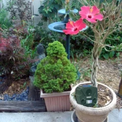 2pk Solar Yard Gard Motion Activated Animal Repeller - Bird-X