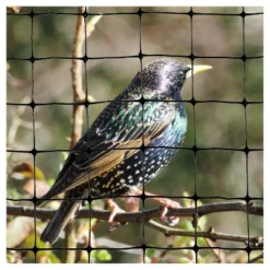 100'x14' Standard Bird Netting - Bird-X -Sunnydaze Store GUEST ccd1100d ffba 4069 8e6f ec685ee84616