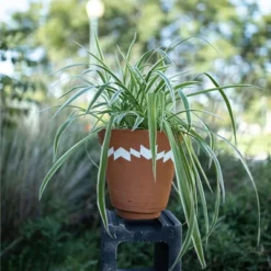 Multi Terracotta Planter - Foreside Home & Garden -Sunnydaze Store GUEST ce0e341c 8c21 44d0 acd0 ef5469545df7