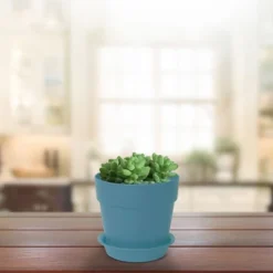 Unique Bargains Plastic Home Garden Gardening Round Design Plant Flower Holder Planter Pot Tray -Sunnydaze Store GUEST ce5ca7af c917 4e28 aa33 dec71bd58f4e