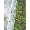 Gardener's Supply Co. Summer Weight Garden Fabric 6' X 50' -Sunnydaze Store GUEST d225822e bda5 4f7b 9858 7b0c319d9026