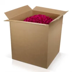 Fresh Cut 100-stem Hot Pink Rose Bouquet -Sunnydaze Store GUEST d4c8c4b8 4a03 4f40 84da eba2891591a9