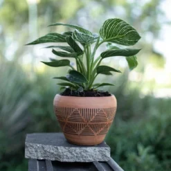 Terracotta Terracotta Planter - Foreside Home & Garden -Sunnydaze Store GUEST dd7f5a39 850a 4cc1 9392 49c57c930a19