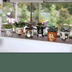 Window Garden Cat Planter Pot Set - 6 Mini 3" Succulent Kitty Pots