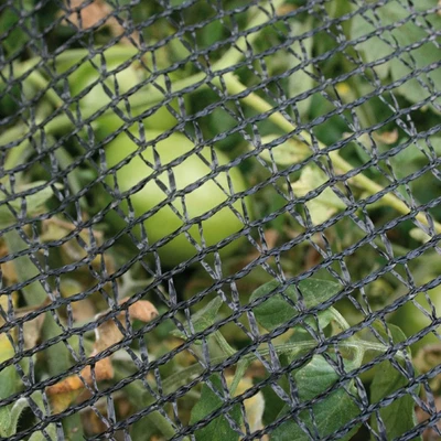 DeWitt 14 X 14 Foot Home & Garden Bird Barricade Plant Protector Deluxe Netting 3 DeWitt 14 X 14 Foot Home & Garden Bird Barricade Plant Protector Deluxe Netting